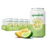 Lemon Limeade
